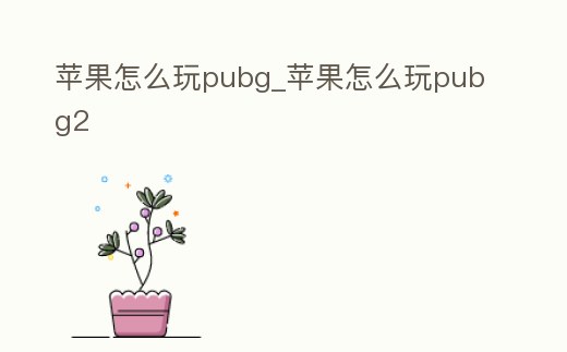 蘋果怎么玩pubg_蘋果怎么玩pubg2