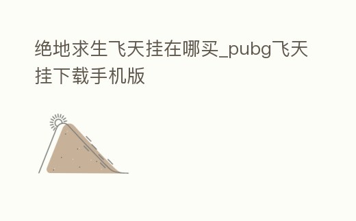 絕地求生飛天掛在哪買_pubg飛天掛下載手機(jī)版
