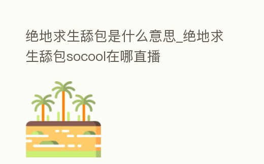 絕地求生舔包是什么意思_絕地求生舔包socool在哪直播