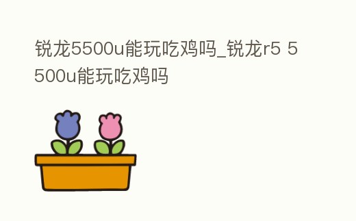 銳龍5500u能玩吃雞嗎_銳龍r5 5500u能玩吃雞嗎