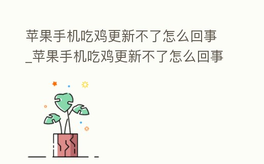 蘋果手機吃雞更新不了怎么回事_蘋果手機吃雞更新不了怎么回事呢