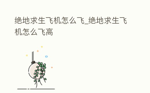 絕地求生飛機(jī)怎么飛_絕地求生飛機(jī)怎么飛高