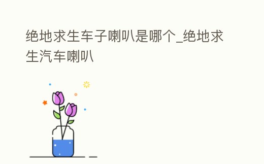 絕地求生車子喇叭是哪個_絕地求生汽車喇叭