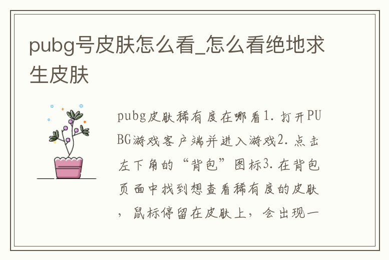 pubg號皮膚怎么看_怎么看絕地求生皮膚