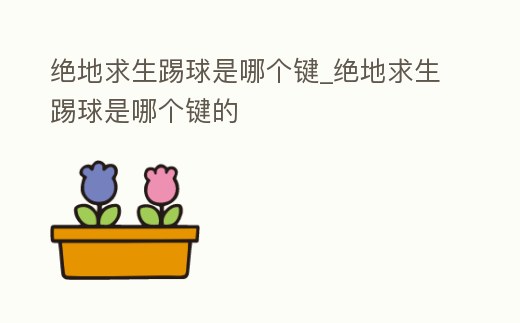 絕地求生踢球是哪個鍵_絕地求生踢球是哪個鍵的