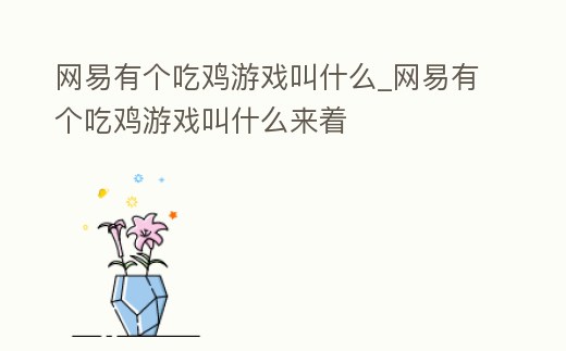 網易有個吃雞游戲叫什么_網易有個吃雞游戲叫什么來著