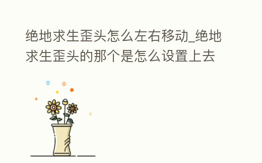 絕地求生歪頭怎么左右移動_絕地求生歪頭的那個是怎么設置上去的