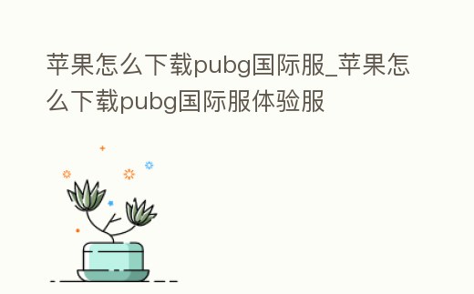 蘋果怎么下載pubg國際服_蘋果怎么下載pubg國際服體驗服