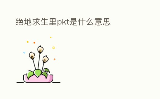 絕地求生里pkt是什么意思