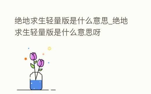 絕地求生輕量版是什么意思_絕地求生輕量版是什么意思呀