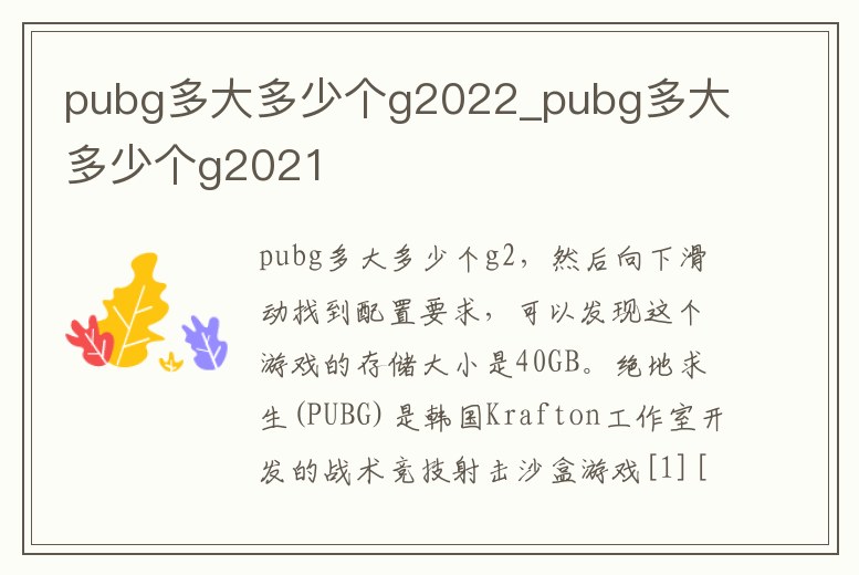 pubg多大多少個g2022_pubg多大多少個g2021