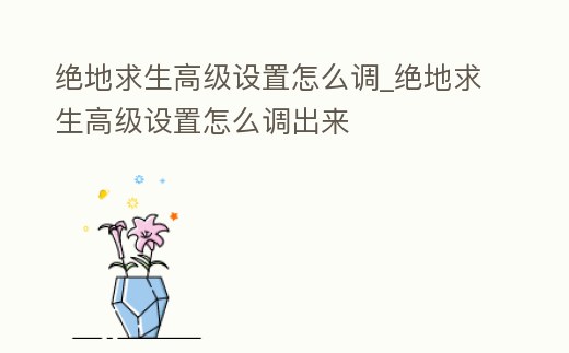 絕地求生高級設置怎么調_絕地求生高級設置怎么調出來