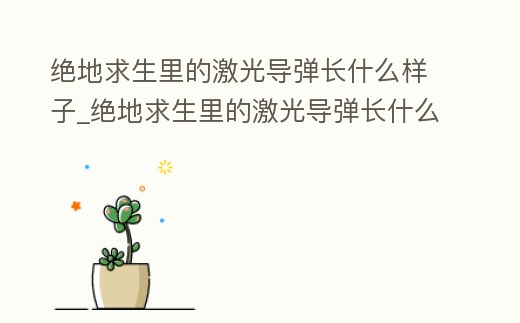 絕地求生里的激光導彈長什么樣子_絕地求生里的激光導彈長什么樣子啊