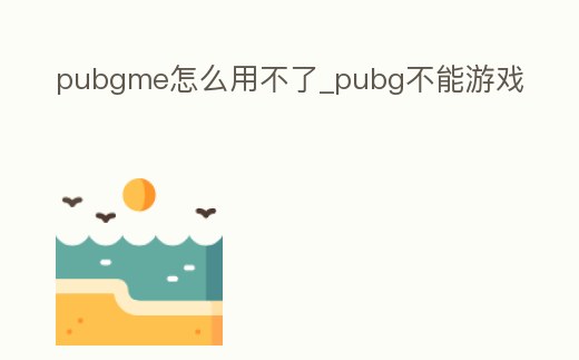 pubgme怎么用不了_pubg不能游戲