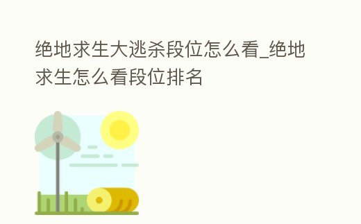 絕地求生大逃殺段位怎么看_絕地求生怎么看段位排名