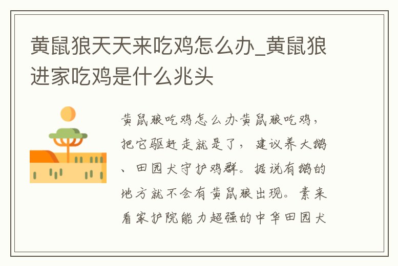 黃鼠狼天天來吃雞怎么辦_黃鼠狼進家吃雞是什么兆頭