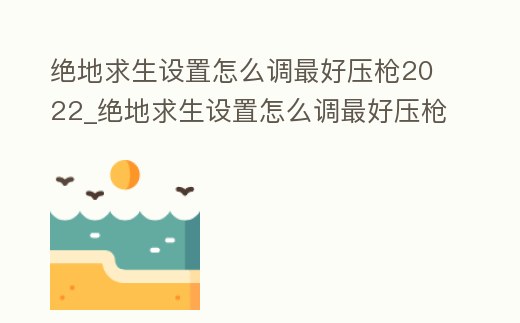 絕地求生設(shè)置怎么調(diào)最好壓槍2022_絕地求生設(shè)置怎么調(diào)最好壓槍1500dpi