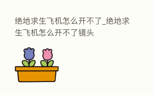 絕地求生飛機(jī)怎么開不了_絕地求生飛機(jī)怎么開不了鏡頭