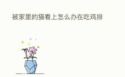被家里的貓看上怎么辦在吃雞排