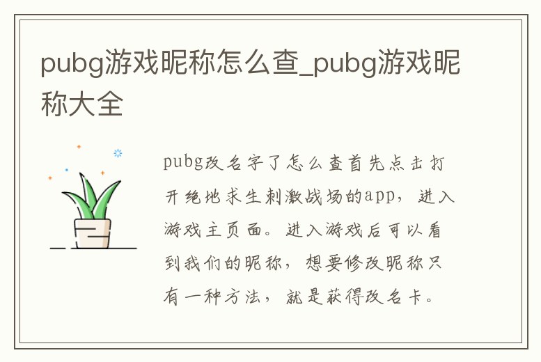 pubg游戲昵稱怎么查_pubg游戲昵稱大全