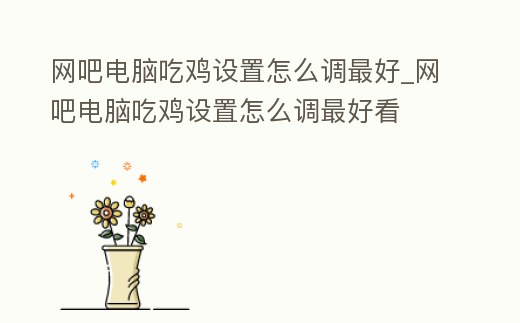 網吧電腦吃雞設置怎么調最好_網吧電腦吃雞設置怎么調最好看