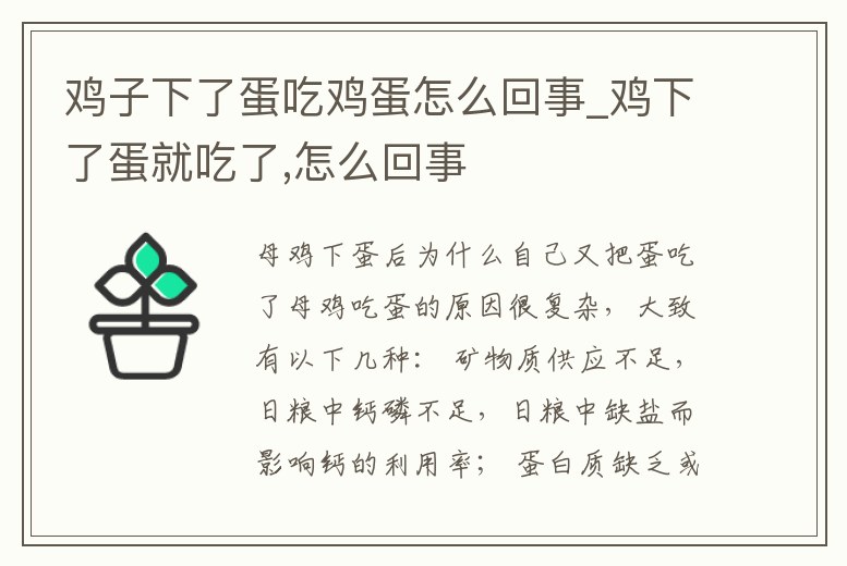 雞子下了蛋吃雞蛋怎么回事_雞下了蛋就吃了,怎么回事