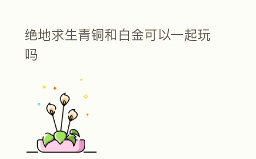 絕地求生青銅和白金可以一起玩嗎