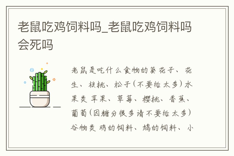 老鼠吃雞飼料嗎_老鼠吃雞飼料嗎會(huì)死嗎