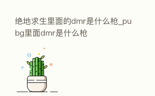 絕地求生里面的dmr是什么槍_pubg里面dmr是什么槍