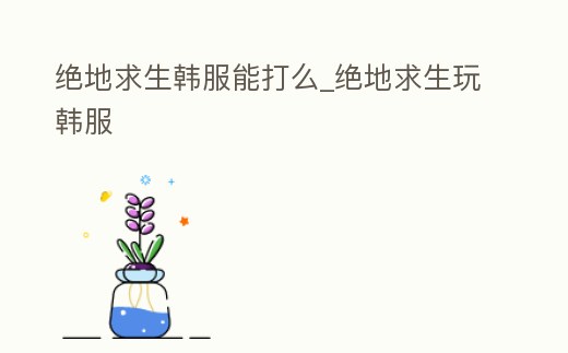 絕地求生韓服能打么_絕地求生玩韓服