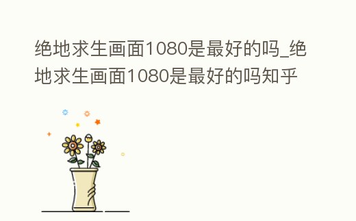 絕地求生畫面1080是最好的嗎_絕地求生畫面1080是最好的嗎知乎
