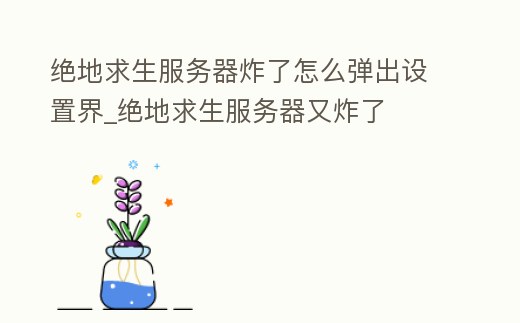 絕地求生服務器炸了怎么彈出設置界_絕地求生服務器又炸了