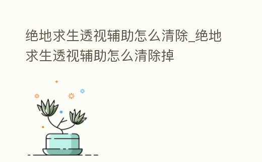 絕地求生透視輔助怎么清除_絕地求生透視輔助怎么清除掉