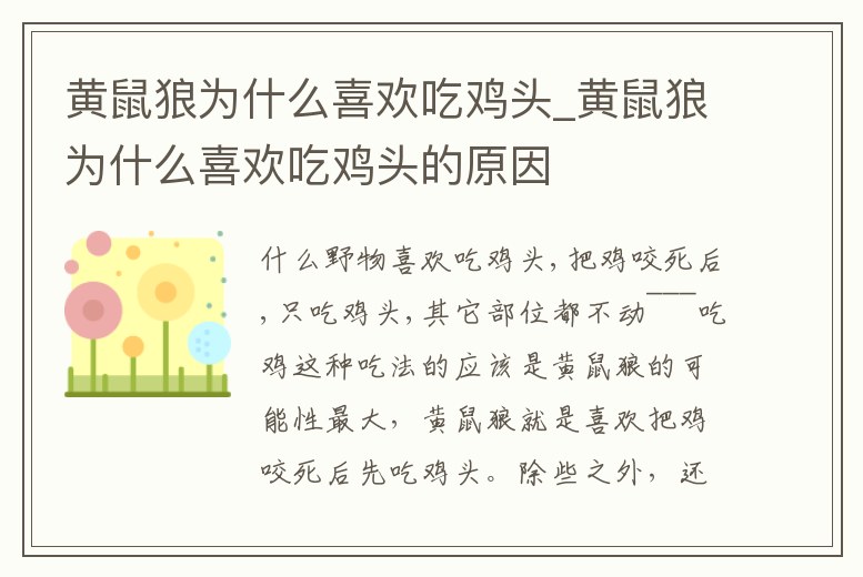 黃鼠狼為什么喜歡吃雞頭_黃鼠狼為什么喜歡吃雞頭的原因