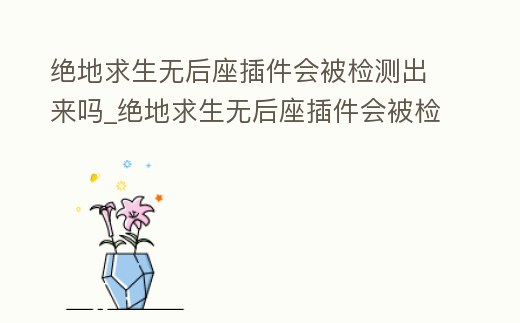 絕地求生無后座插件會被檢測出來嗎_絕地求生無后座插件會被檢測出來嗎安全嗎