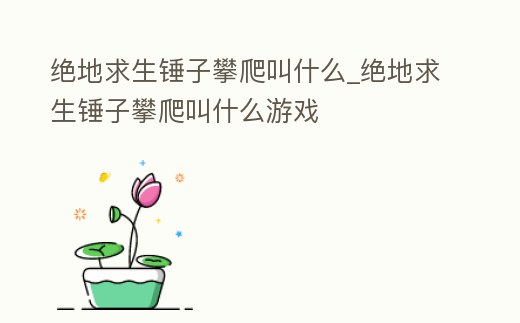 絕地求生錘子攀爬叫什么_絕地求生錘子攀爬叫什么游戲