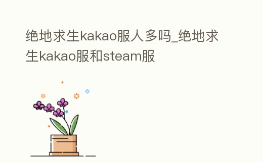 絕地求生kakao服人多嗎_絕地求生kakao服和steam服