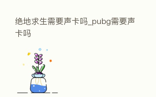 絕地求生需要聲卡嗎_pubg需要聲卡嗎