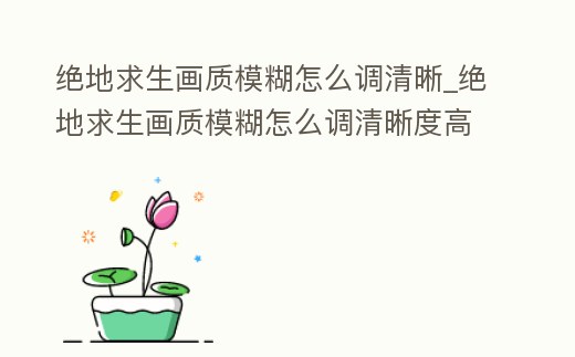 絕地求生畫質模糊怎么調清晰_絕地求生畫質模糊怎么調清晰度高