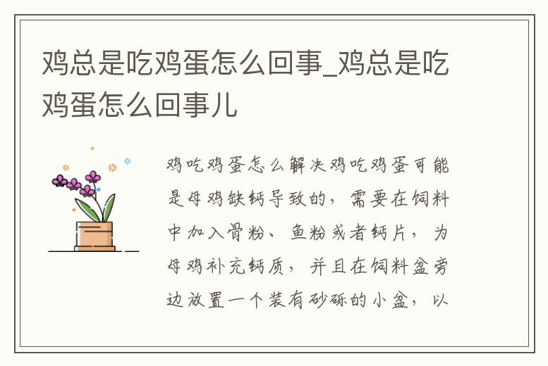 雞總是吃雞蛋怎么回事_雞總是吃雞蛋怎么回事兒