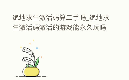 絕地求生激活碼算二手嗎_絕地求生激活碼激活的游戲能永久玩嗎