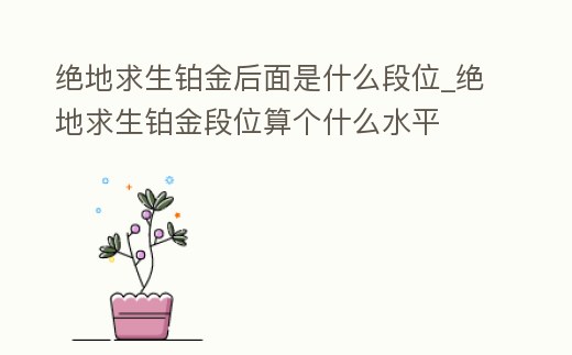 絕地求生鉑金后面是什么段位_絕地求生鉑金段位算個什么水平