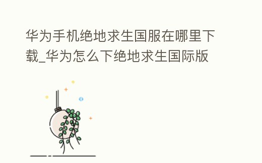 華為手機絕地求生國服在哪里下載_華為怎么下絕地求生國際版