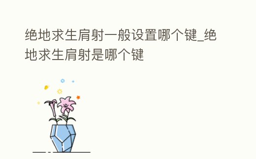 絕地求生肩射一般設置哪個鍵_絕地求生肩射是哪個鍵