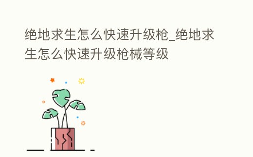 絕地求生怎么快速升級槍_絕地求生怎么快速升級槍械等級