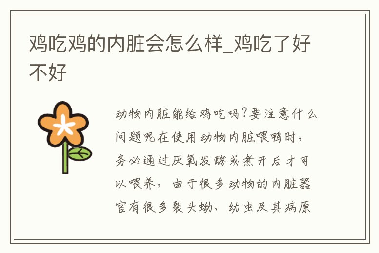 雞吃雞的內臟會怎么樣_雞吃了好不好