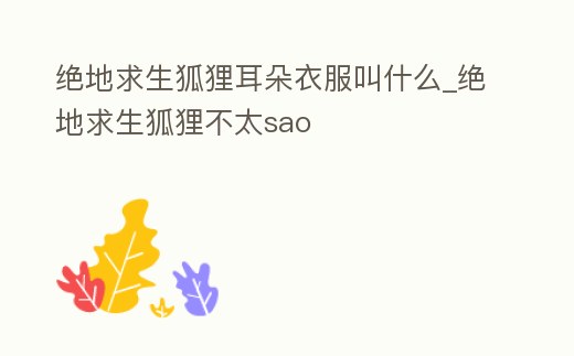 絕地求生狐貍耳朵衣服叫什么_絕地求生狐貍不太sao