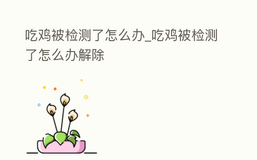 吃雞被檢測了怎么辦_吃雞被檢測了怎么辦解除