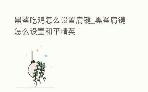黑鯊吃雞怎么設(shè)置肩鍵_黑鯊肩鍵怎么設(shè)置和平精英