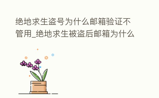 絕地求生盜號為什么郵箱驗(yàn)證不管用_絕地求生被盜后郵箱為什么收不到驗(yàn)證碼